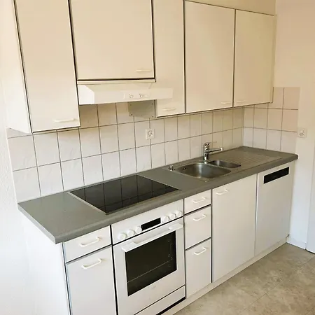 Apartment Huge Center With Balcony In Zurich, Kars *